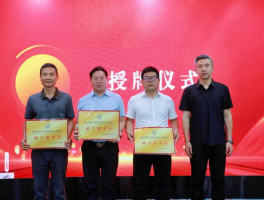 苏陕促进会回应“假总编张龙当选副主席”：已撤销相关资格